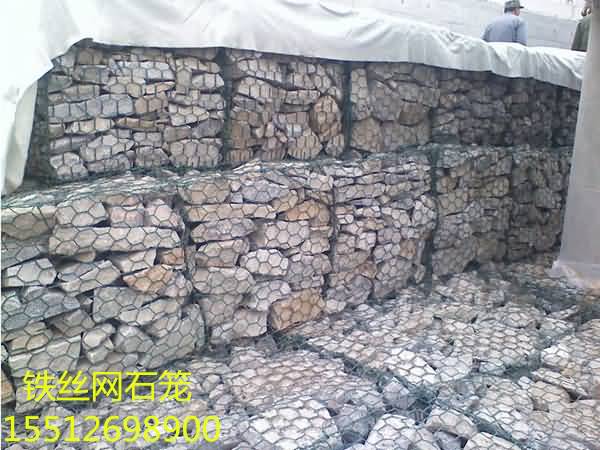 timg5_副本.jpg timg5_副本.jpg